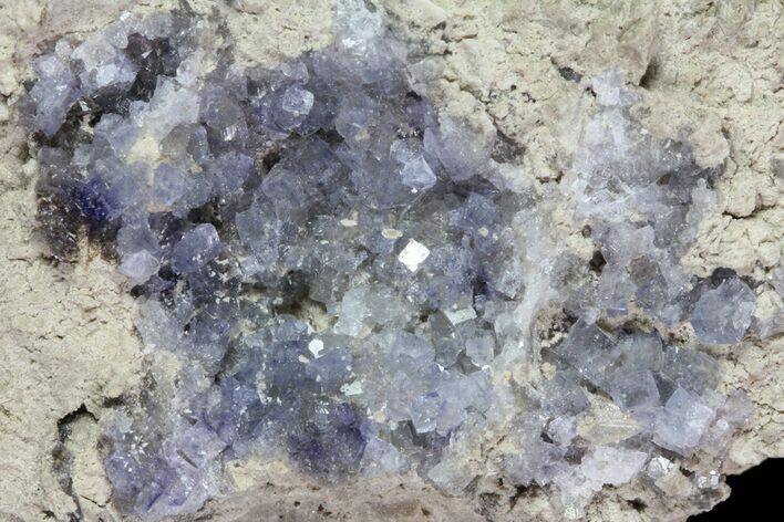 Purple/Gray Fluorite Cluster - Marblehead Quarry Ohio #81186